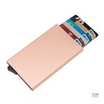 Secur™ : porte-cartes RFID pratique et stylé pour tous