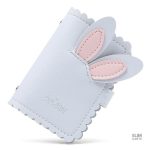 Accessoire pratique pour ranger cartes de crédit