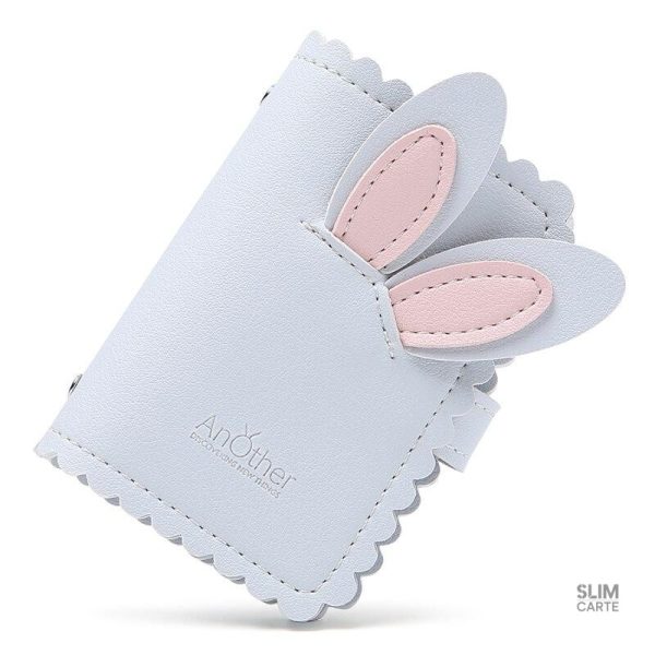 Accessoire pratique pour ranger cartes de crédit