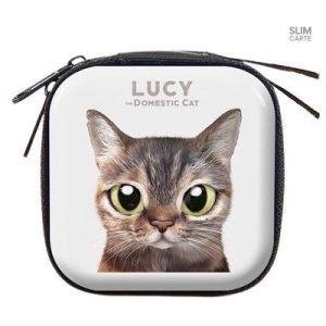 Porte-monnaie stylé en métal, parfait pour tous les jours